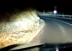 Skrivnostno bitje se sprehaja po Hrvaškem in se ne boji nikogar: številnim ni jasno, katera žival je na posnetku (VIDEO)