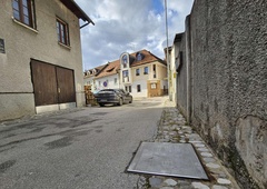 Nova atrakcija Kranja: grde spremljevalce ulice bodo spremenili v znamenitosti