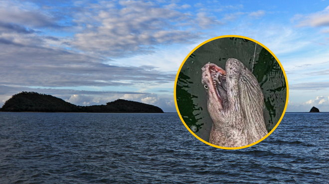 Srhljivo odkritje: iz globin morja potegnili pravo morsko pošast (česa takšnega še niso videli niti najbolj izkušeni ribiči) (foto: Profimedia/Facebook/Trapman Australia)