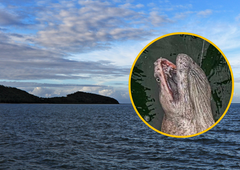 Srhljivo odkritje: iz globin morja potegnili pravo morsko pošast (česa takšnega še niso videli niti najbolj izkušeni ribiči)