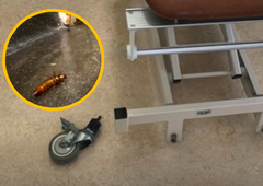 Slovenske bolnišnice na robu propada: posnetki, ob katerih se vam bo obrnil želodec (VIDEO)