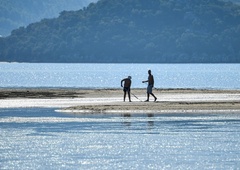 V reki odkrili invazivno školjko: kaj to pomeni za ekosistem?