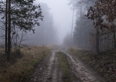 Našli tri pogrešane fante, vendar je pozneje eden spet izginil