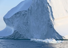 Je to nova velika žrtev podnebnih sprememb?