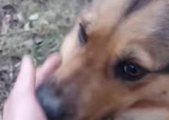 Brata obiskujeta psičko, ki bi brez njiju bolj "tenko piskala" (poglejte si to pasje veselje in hvaležnost)