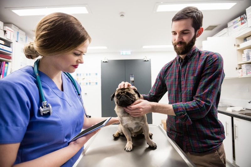 Ker se je mops vedel nenavadno, so ga odpeljali v veterinarsko ambulanto.