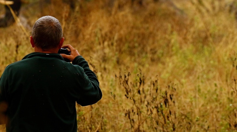 Po petih mesecih in nešteto kilometrih je fotografu uspelo ujeti 'posnetek za milijon dolarjev' (foto: Profimedia)