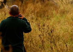 Po petih mesecih in nešteto kilometrih je fotografu uspelo ujeti 'posnetek za milijon dolarjev'