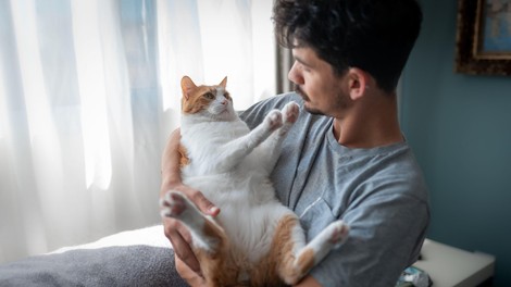 živali mačke terapevtske mačke Nataša Pirc Musar