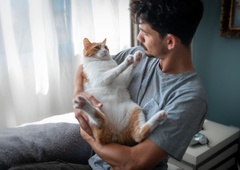 To so terapevtske mačke, ki jih je v Slovenijo pripeljal mož Nataše Pirc Musar: zagotovo si jih niste tako predstavljali