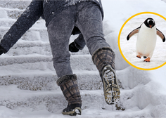 Izdali so priporočilo – kako se izogniti padcu v snegu in ledu: "Hodite kot pingvin"