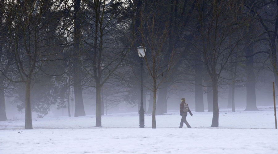 Nepričakovana najdba v parku Tivoli: strokovnjaki po več desetletjih odkrili zanimivo žival (FOTO) (foto: Bobo)