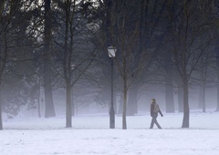 Nepričakovana najdba v parku Tivoli: strokovnjaki po več desetletjih odkrili zanimivo žival (FOTO)