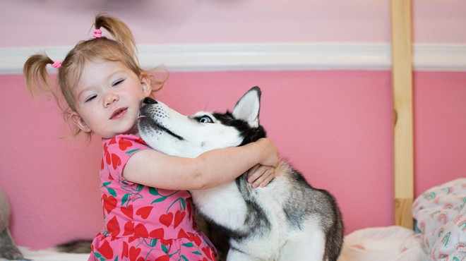 Poglejte to 'ljubko' fotografijo otroka in psa, ki v resnici razkriva izjemno stisko psa (foto: Profimedia)