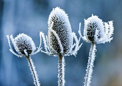 Takšno vreme nas čaka v prihodnjih dneh