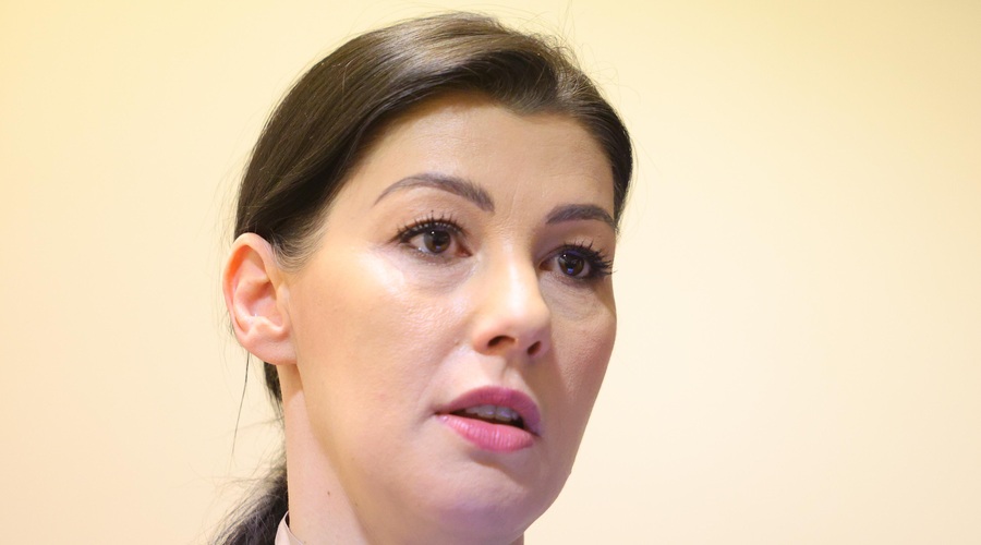 SD in Švarc Pipanova si podajata žogico, kdo je kriv za sporni nakup: kaj pa pravi analiza? (foto: Bobo)