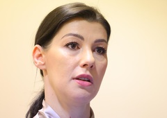 SD in Švarc Pipanova si podajata žogico, kdo je kriv za sporni nakup: kaj pa pravi analiza?