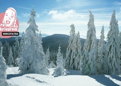 Sneg januarja – spektakel, o katerem se poroča cel teden