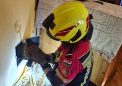 Gasilci izvedli nenavadno akcijo, ki je ne bodo pozabili: reševali goloba, ki se je ... (FOTO)