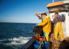 Na delu francoske obale povsem prepovedali ribolov, razlog je zelo žalosten