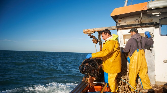 Na delu francoske obale povsem prepovedali ribolov, razlog je zelo žalosten (foto: Profimedia)