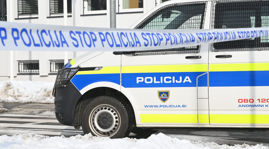 Nezaslišano kruto dejanje človeka: iz neznanega vzroka je ubil dva psa (foto: Žiga Živulović jr./BOBO)