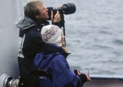 Iz Piranskega zaliva prihaja čudovita novica: med terenskim delom so na morju opazili ...