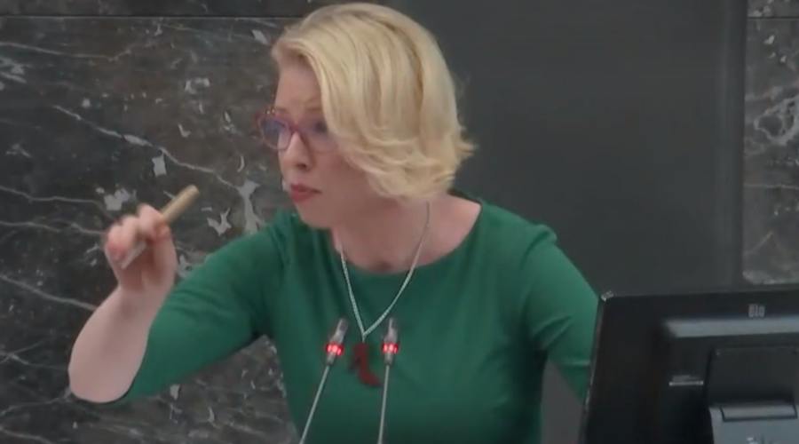 Boljše kot vsak podkast: Klakočar Zupančičeva "kot nevzgojena smrklja kričala na predlagatelja" (VIDEO) (foto: RTV Slovenija/posnetek zaslona)