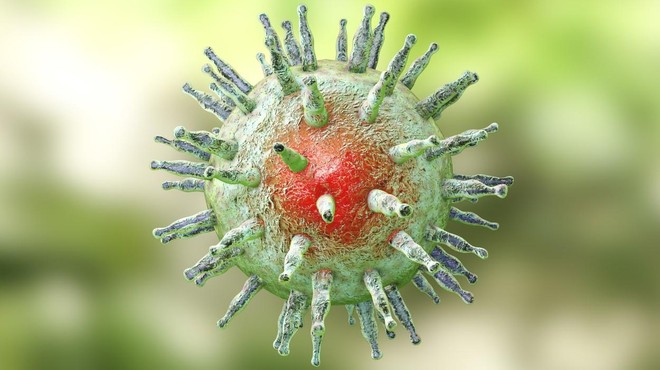 Ta virus bi lahko bil sprožilec multiple skleroze (in zdaj znanstveniki o tem vedo nekaj več) (foto: profimedia)