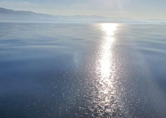 Tržačani niso mogli verjeti svojim očem: po 25 letih so opazili redek pojav