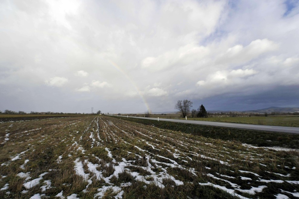 Od njih je odvisna prihodnost človeštva, a izgubljamo jih trikrat hitreje od gozdov (foto: Tina Kosec/Bobo)