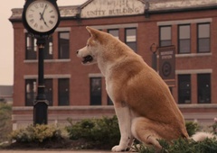 Je to res najbolj ganljiv pasji film v zgodovini? (dolg je uro in pol, boli pa za vedno)