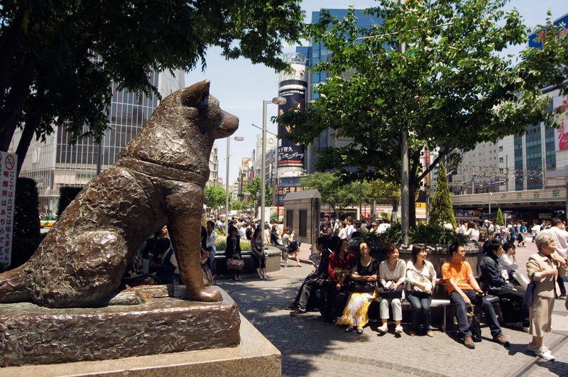 Hatchi še danes živi na japonski železniški postaji.