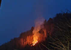 FOTO: V gozdu nad Jesenicami izbruhnil požar (na pomoč je priletel helikopter)
