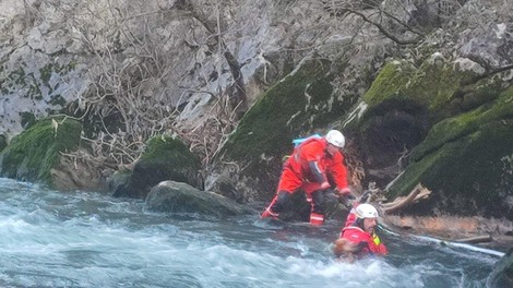 pes živali nesreča reševanje