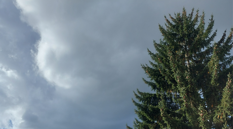 Bo idilična zima kmalu le še spomin? Neobičajno vreme ponekod že povzroča težave, sprememb pa ni na vidiku (foto: Uredništvo)