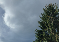 Bo idilična zima kmalu le še spomin? Neobičajno vreme ponekod že povzroča težave, sprememb pa ni na vidiku