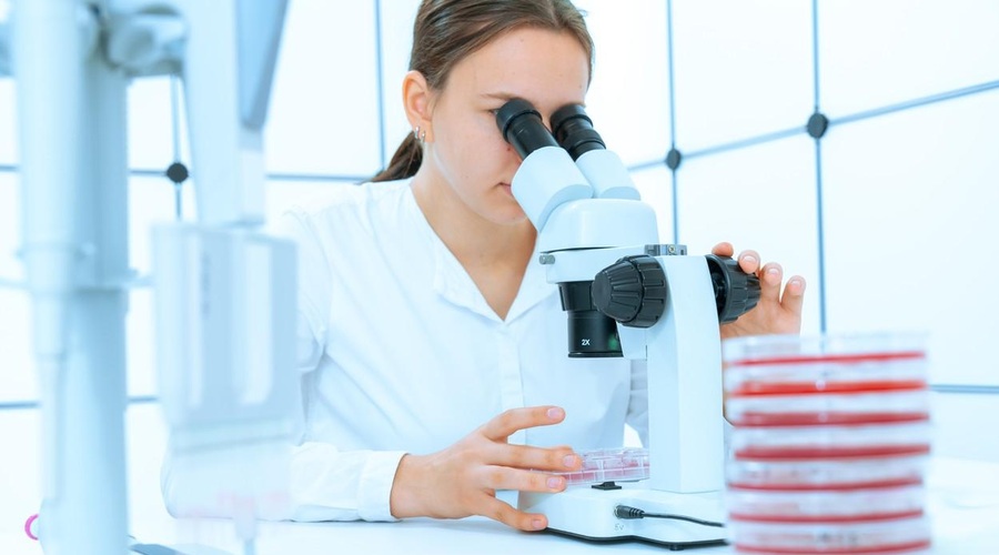 Znanost je ženskega spola: se obeta v znanosti večja enakost med spoloma? (foto: Profimedia)