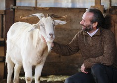 Vstopite V pravljico na Škofljici: kjer živali človeka učijo o človečnosti