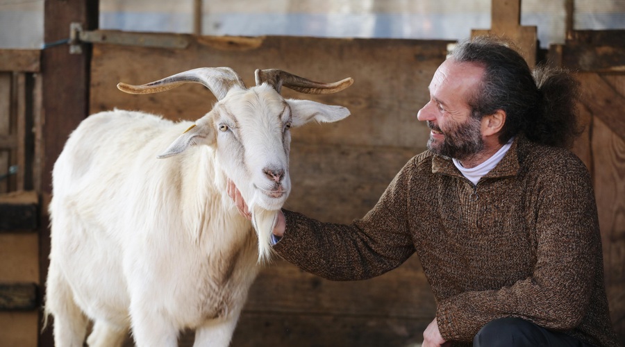 Vstopite V pravljico na Škofljici: kjer živali človeka učijo o človečnosti (foto: Aleksandra Saša Prelesnik)