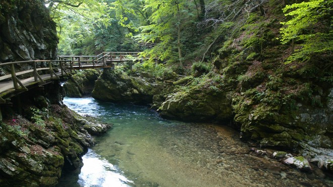 Upravljanje enega najlepših naravnih draguljev Slovenije še vedno ostaja neurejeno (foto: Srdjan Zivulovic/Bobo)