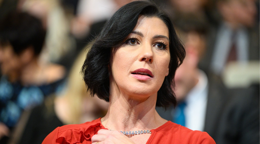 Še preden bo odšla, bo Švarc Pipanova razkrila del poročila o spornem nakupu (foto: Jure Makovec/STA)