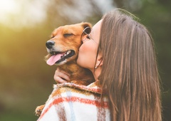 Razburja mnenje strokovnjakinje, da je pes luksuz – rasistično ali resnično?