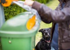 Pogoste navade pasjih lastnikov, ki jih drugi ljudje ne prenesejo