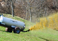 Pri Postojni v okolje iztekla večja količina gnojnice: ponekod je pomrlo vodno življenje, je ogrožena pitna voda?