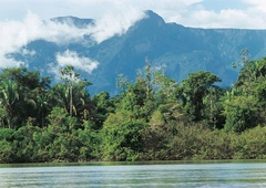 Odkrili največjo kačo na svetu, ki je naravnost grozljiva (FOTO)