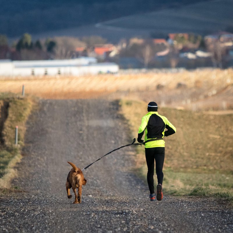 Na zahtevnejše tekaške preizkušnje se odpravite sami.