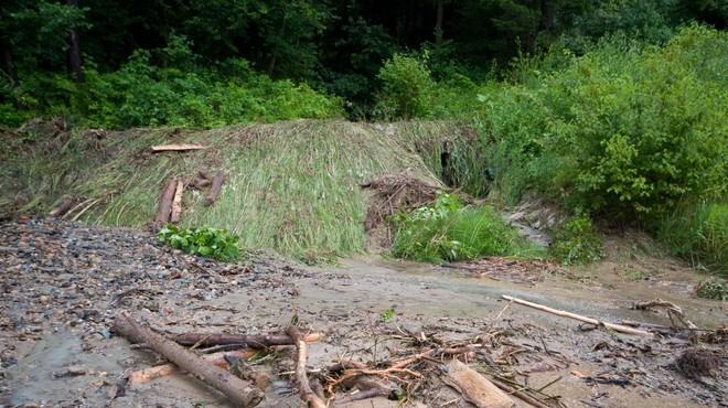 Država občinam namenja 48 milijonov evrov za prenovo gozdnih cest (foto: Bobo)