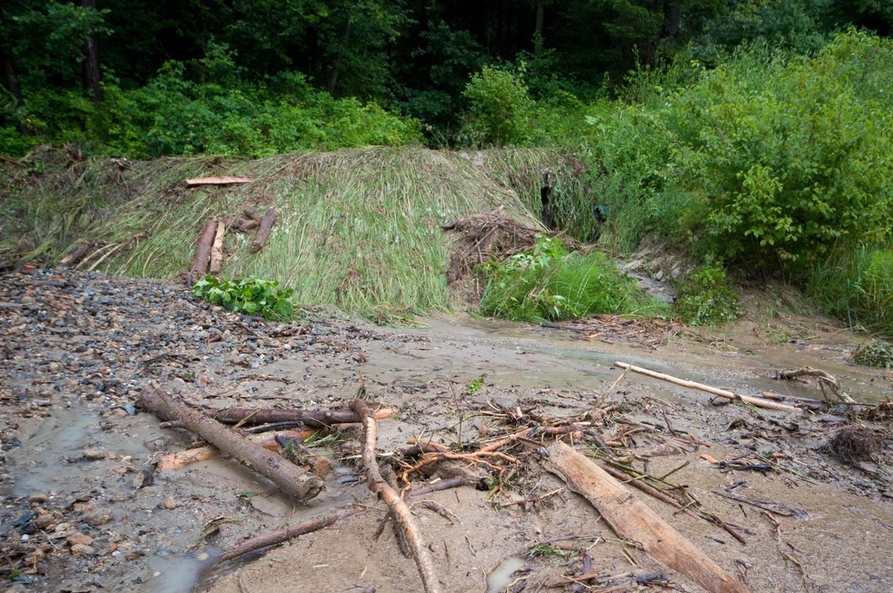 Država občinam namenja 48 milijonov evrov za prenovo gozdnih cest (foto: Bobo)