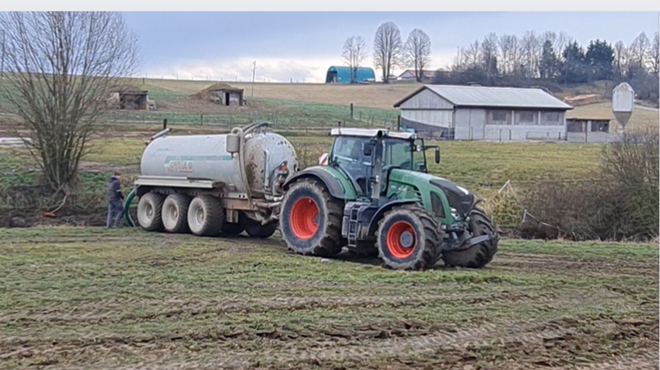 Znano je, kaj je krivo za veliko onesnaženje z gnojevko na območju Postojne (foto: Valter Leban/Bobo)